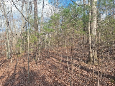 0 Circle g Dr, Lawrenceburg, TN 38464 - photo 7