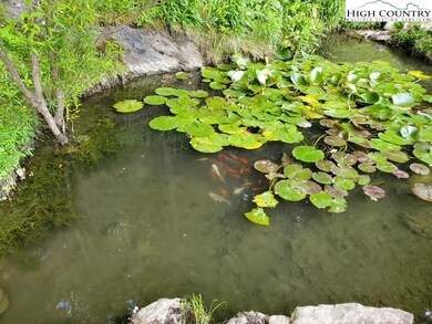 360 Caseys Gap Rd, Banner Elk, NC 28604 - photo 6