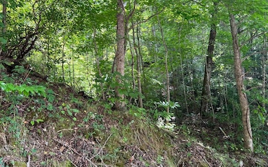 LOT 77 Fires Creek Cove, Hayesville, NC 28904 - photo 3