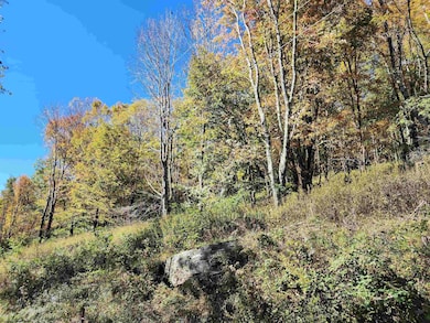 22 E Meadows Rd, Harman, WV 26270 - photo 5