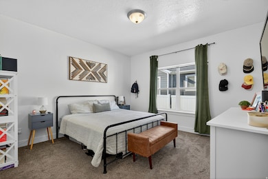 Bedroom featuring carpet flooring and a textured ceiling