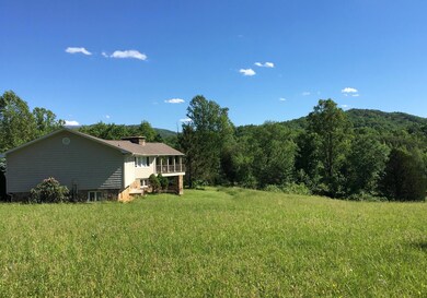 Side view meadow