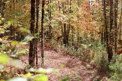 ROW Daniels Farm Rd, Waterford, VT 05819 - photo 2