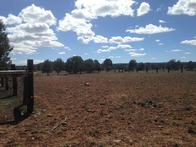 384 Camp Rd, Ash Fork, AZ 86320 - photo 5