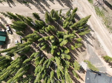 Drone view of property