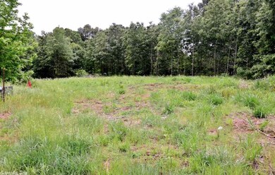 Lot 6 Cr 7612, Brookland, AR 72417 - photo 6