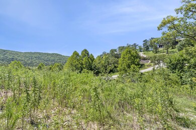 Table Rock Lake View Build Site