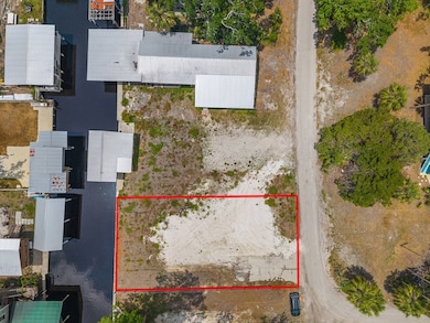 TBD SE 890th Ave, Suwannee, FL 32692 - photo 2