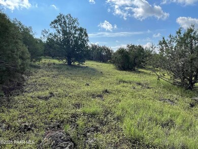 3539 Birch Ave, Kaibab Estates West, AZ 86320 - photo 4