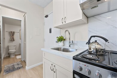 Kapiolani Terrace unit 1613, Honolulu, HI 96814 - photo 6