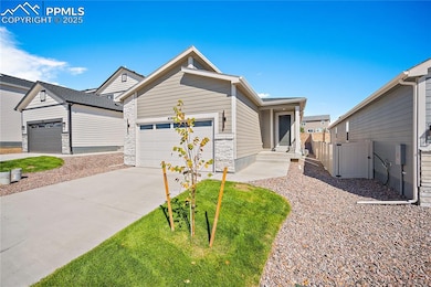 5385 Sidewinder Dr, Colorado Springs, CO 80925 - photo 4