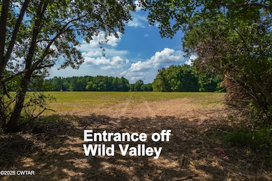 0 Wild Valley Drive & Watson Rd, Jackson, TN 38305 - photo 2