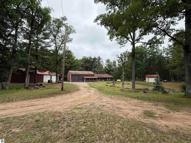 7407 Kermit Ln, South Branch, MI 48761 - photo 3