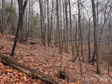 0 Taylor Dr unit CAR4210184, Moravian Falls, NC 28654 - photo 4