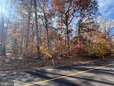 616 Mt Pleasant Dr, Locust Grove, VA 22508 - photo 2