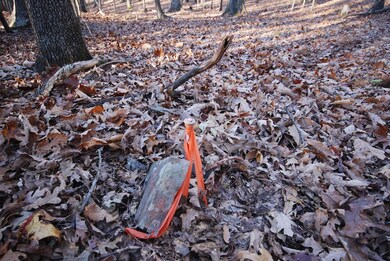 Lot 67 Mill Mountain Rd, Romney, WV 26757 - photo 4