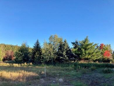 Mature Landscaping along South Property Line