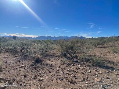 1853 Isabel Ct unit 183, Rio Rico, AZ 85648 - photo 5