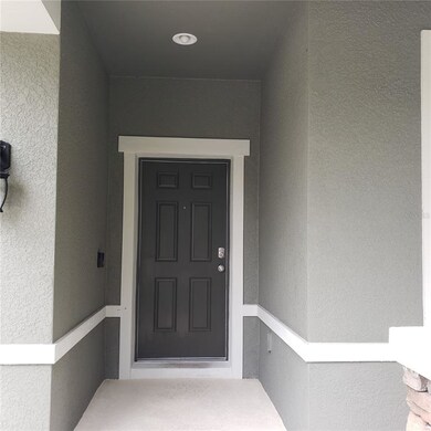 15707 Oakleaf Run Dr, Lithia, FL 33547 - photo 3