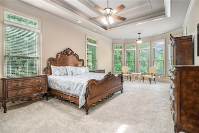 Bedroom with a raised ceiling, carpet, and multipl