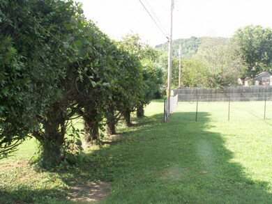 REAR TREE LINE FOR PRIVACY