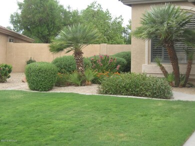 Beautiful front yard landscape