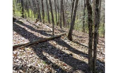 M99 Sleepy Hollow Rd, Ellijay, GA 30536 - photo 7