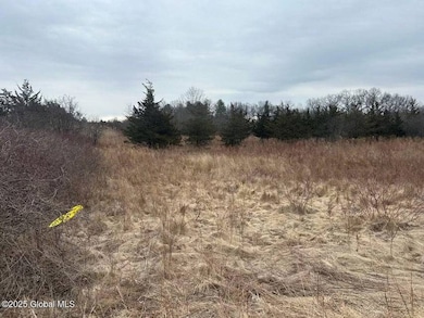 97 Hills Dr, Athens, NY 12015 - photo 2