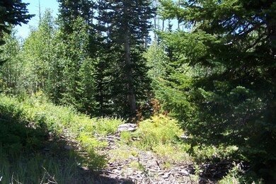 Sorlie properties 005