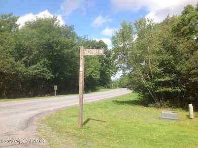 0 Rd Nn 65a (Wild Pines), Pocono Pines, PA 18350 - photo 3
