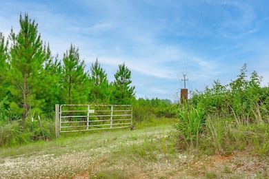 Humpback Bridge Rd, Chester, SC 29712 - photo 6