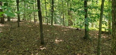 160 Beaver Lake Dr, West Union, SC 29696 - photo 5