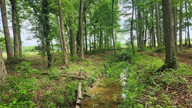 0 Fredonia Rd unit RTC2658031, Manchester, TN 37355 - photo 3