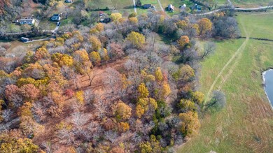 14 Brazier Ln, Gallatin, TN 37066 - photo 6