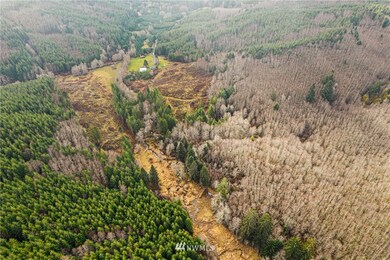 0 Elk Creek Rd unit NWM1890793, Raymond, WA 98577 - photo 4