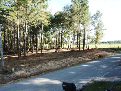 001 Cactus Dr, Laurel, MS 39443 - photo 7