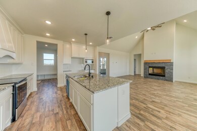 344 Sanger Dr, Springtown, TX 76082 - photo 4