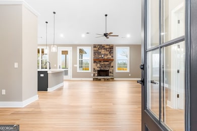 1360 Morgan Rd, Bremen, GA 30110 - photo 6