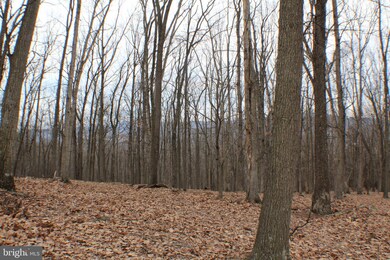 25 Cove Creek, Capon, WV 26801 - photo 7