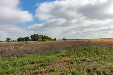 0 Spring Creek 160 Acres unit 25-8120, Memphis, TX 79245 - photo 4