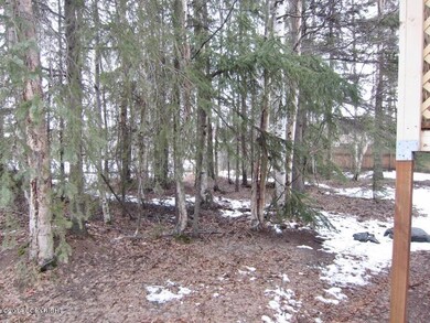 Wooded Back Yard