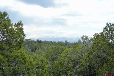 0 Road K 3, Cortez, CO 81321 - photo 4