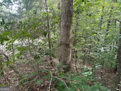 0 Wards Creek Rd unit 10587308, Toccoa, GA 30577 - photo 4