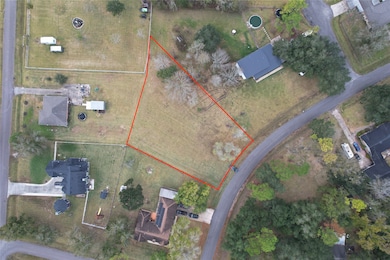 12322 Thornbriar Dr, Brookside, TX 77581 - photo 6