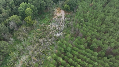 0 Mandy Ln, Casa, AR 72025 - photo 5