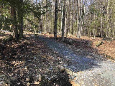 5 Branch Hill Rd unit 5, Readsboro, VT 05350 - photo 3