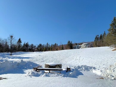 208 Ethan Allen Trail unit A5D, Peru, VT 05152 - photo 4