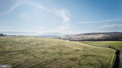 0 Orkney Grade Rd unit VASH2013132, Mount Jackson, VA 22842 - photo 7