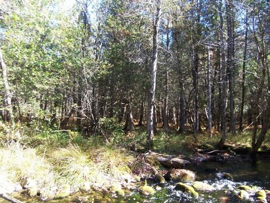 Wooded Land, East of Stream