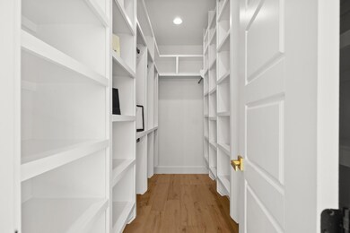 Walk in closet with light wood-type flooring